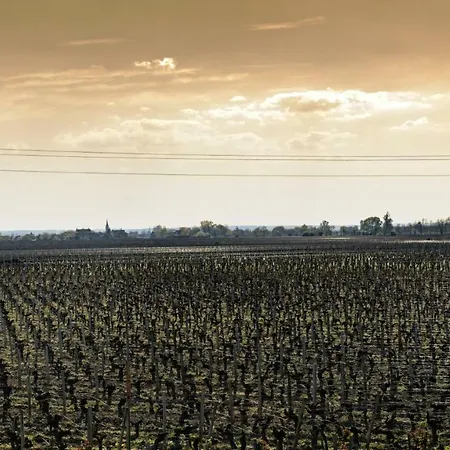 Chateau La Fleur De Bouard